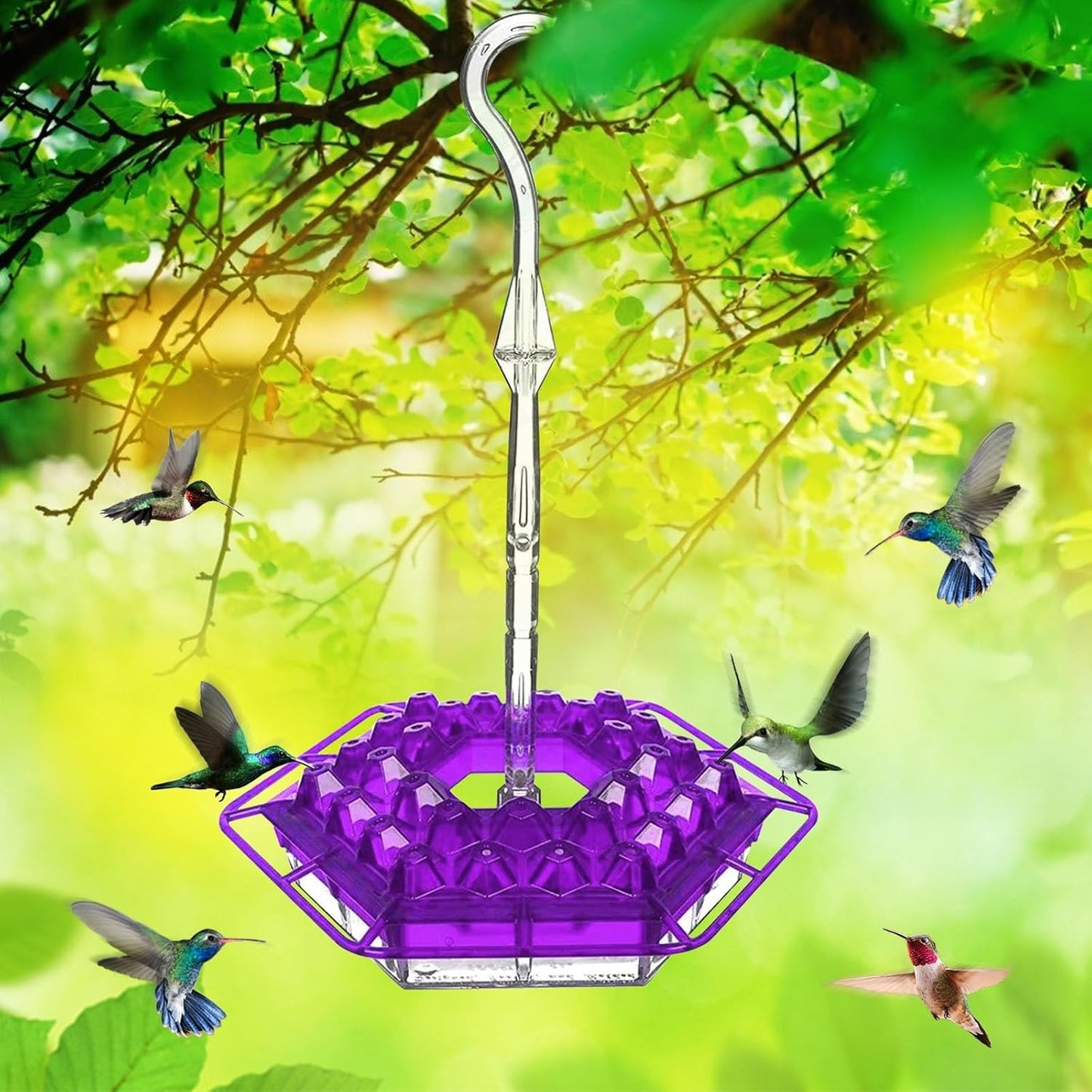 Colorful Garden Hummingbird Feeder
