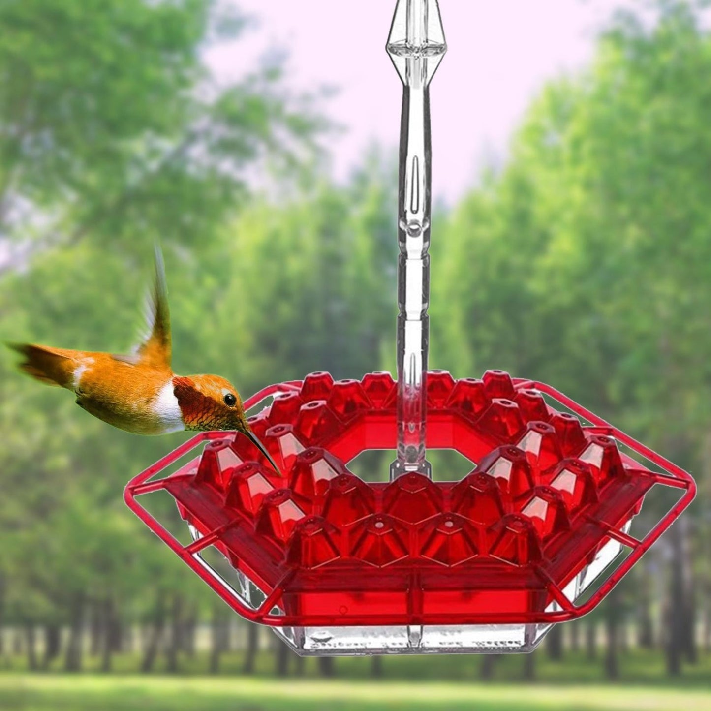 Colorful Garden Hummingbird Feeder