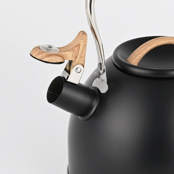 Durable Metal Kettle for Daily Brewing
