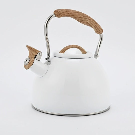 Durable Metal Kettle for Daily Brewing