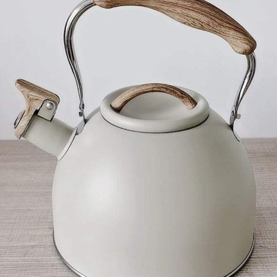 Durable Metal Kettle for Daily Brewing