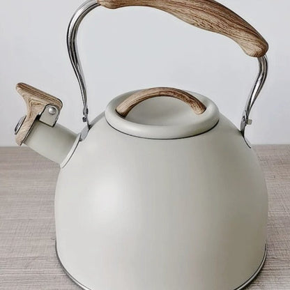 Durable Metal Kettle for Daily Brewing