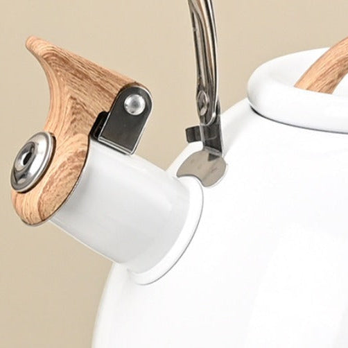 Durable Metal Kettle for Daily Brewing