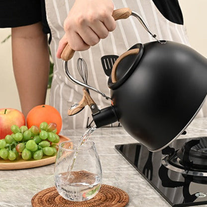Durable Metal Kettle for Daily Brewing