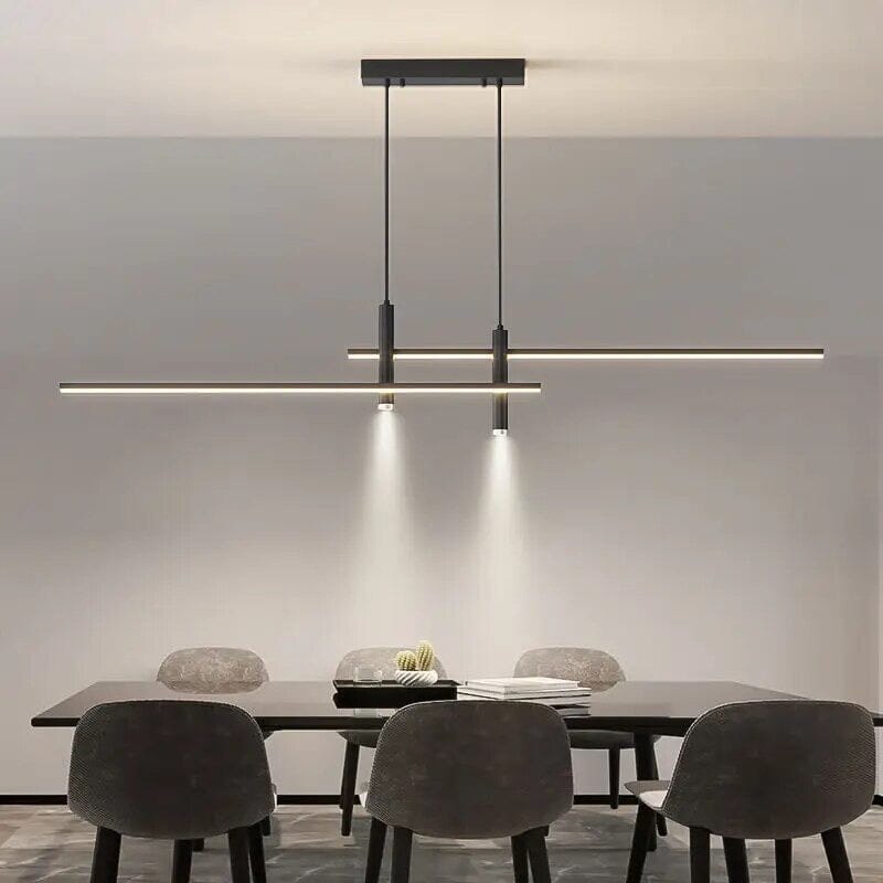 Dual Drop Ceiling Lamp