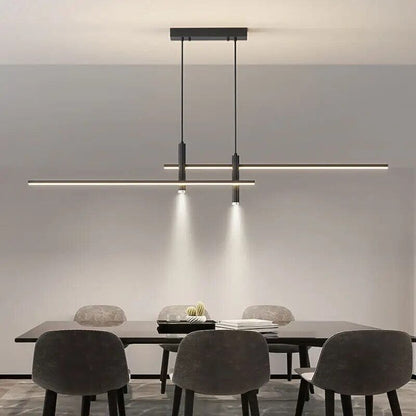 Dual Drop Ceiling Lamp
