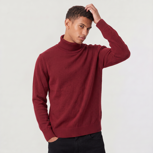 Men's Classic Wool Ribbed Collar Turtleneck Sweater