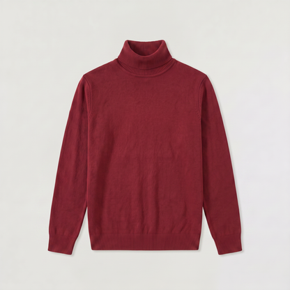 Men's Classic Wool Ribbed Collar Turtleneck Sweater