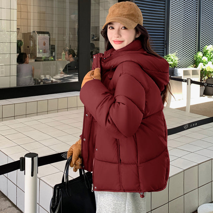 Warm Women's Down Hooded Parka Coat