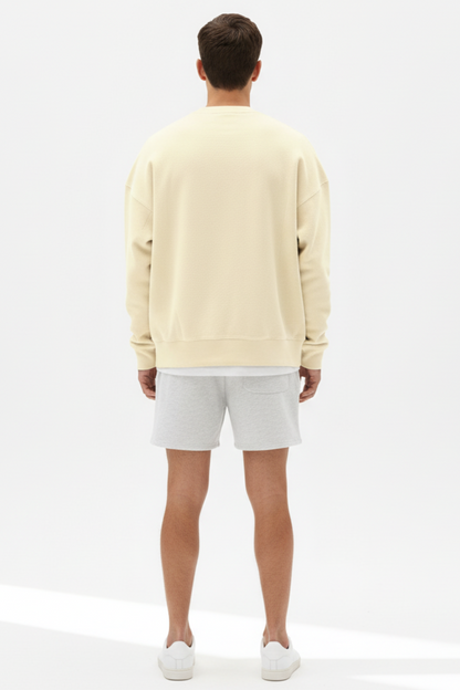 Relaxed Fit Crew Neck Mens Sweater