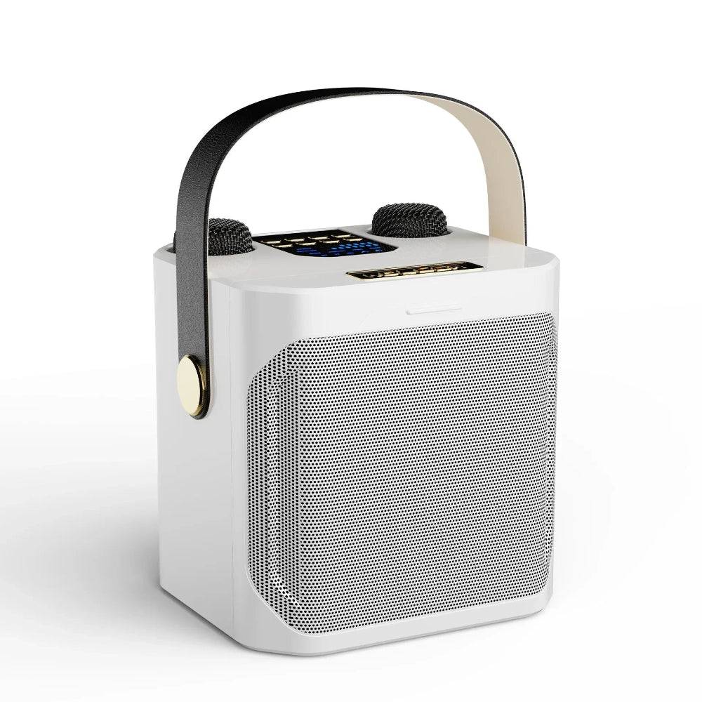 Portable Karaoke System with 360° Sound and Dual Mics