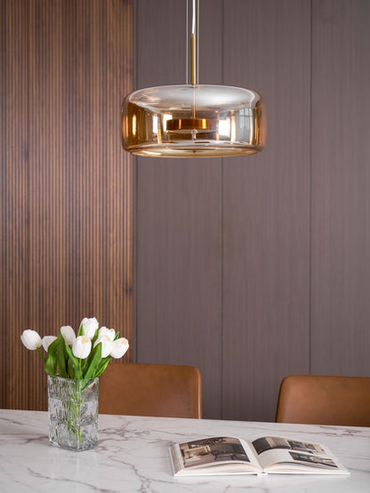 Stylish Glass Shade LED Hanging Light Fixture