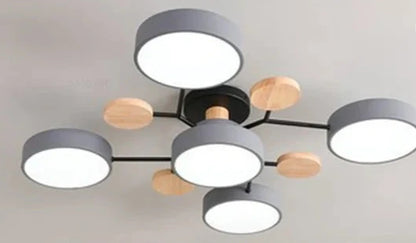 Thin LED Indoor Ceiling Light Fixtures
