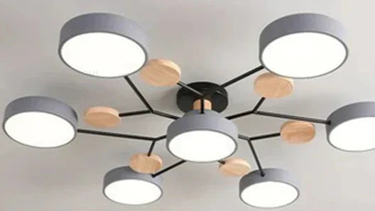 Thin LED Indoor Ceiling Light Fixtures