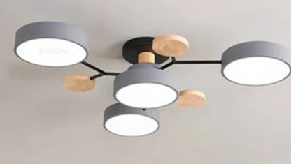 Thin LED Indoor Ceiling Light Fixtures
