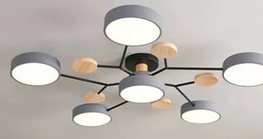 Thin LED Indoor Ceiling Light Fixtures
