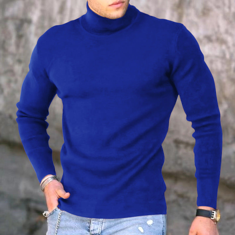 Slim Fit Men's Knit Turtleneck Sweater