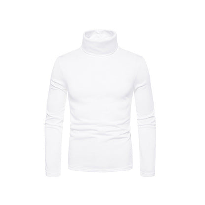 Slim Fit Men's Knit Turtleneck Sweater