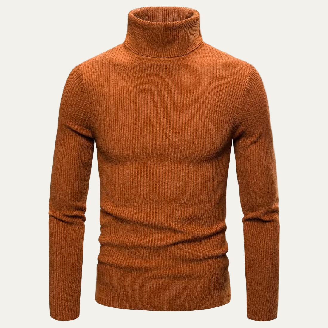 Men's Fit Ribbed Turtleneck Jumper Sweater