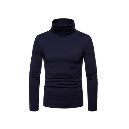 Slim Fit Men's Knit Turtleneck Sweater
