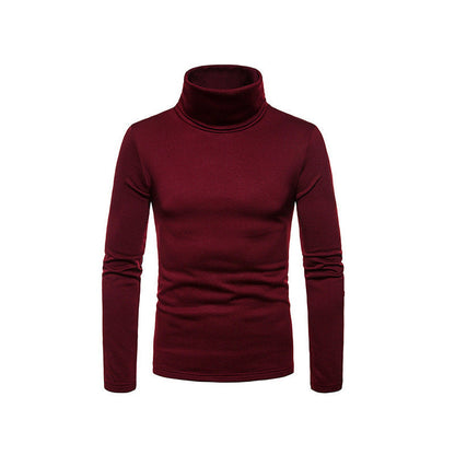 Slim Fit Men's Knit Turtleneck Sweater