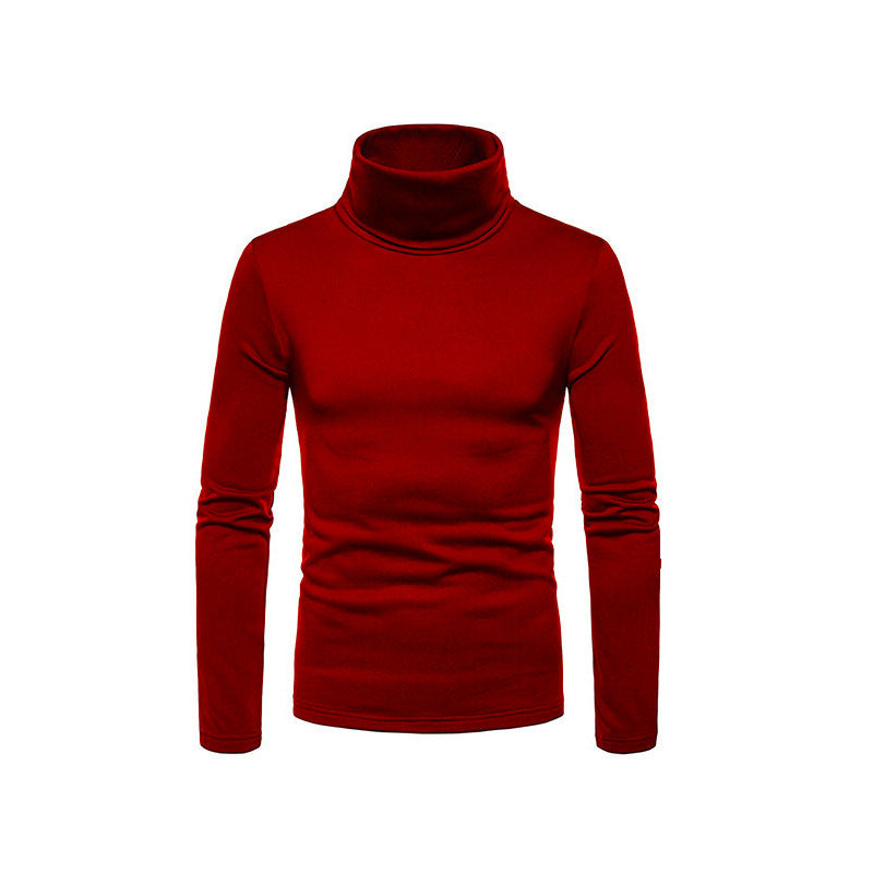 Slim Fit Men's Knit Turtleneck Sweater