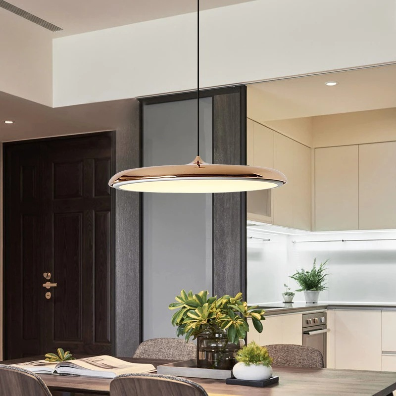 Simple Modern LED Pendant Ceiling Light