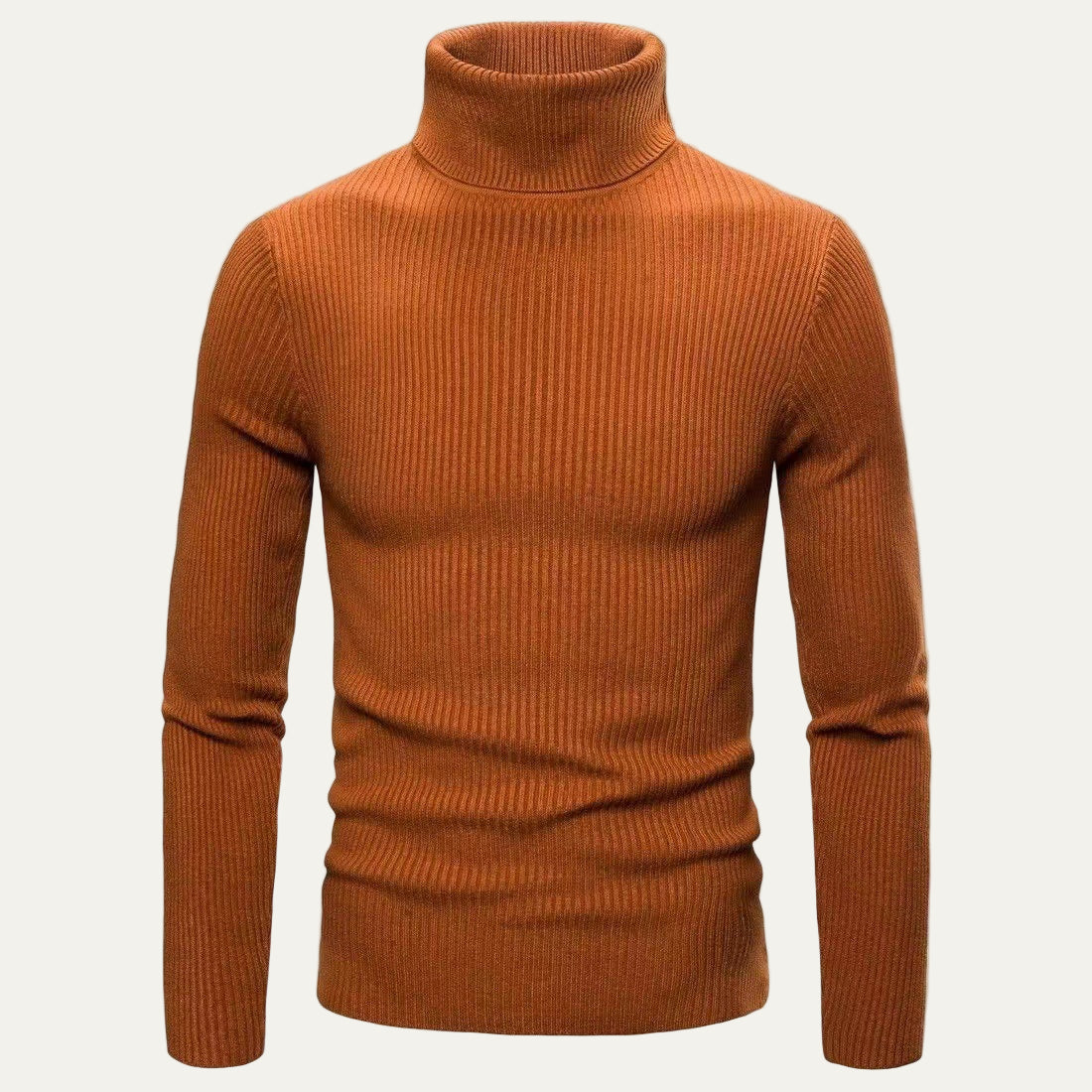 Men's Fit Ribbed Turtleneck Jumper Sweater