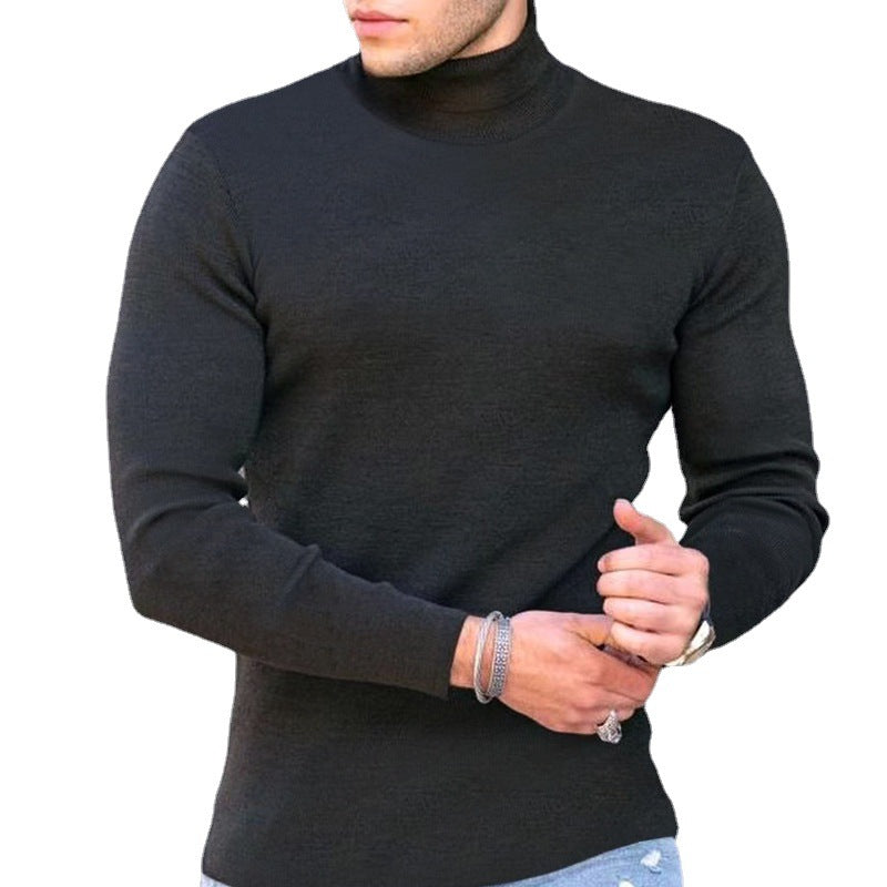 Slim Fit Men's Knit Turtleneck Sweater