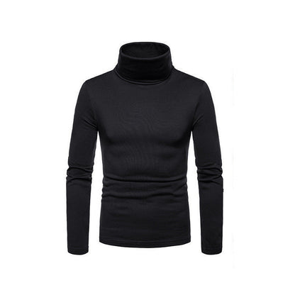 Slim Fit Men's Knit Turtleneck Sweater