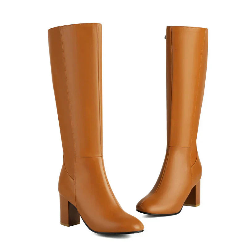 Stylish Women's Tall Heel Boots