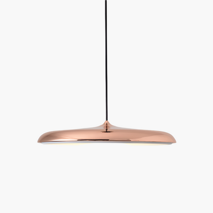Simple Modern LED Pendant Ceiling Light
