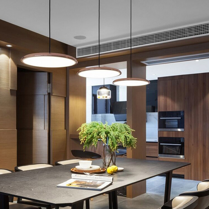 Simple Modern LED Pendant Ceiling Light