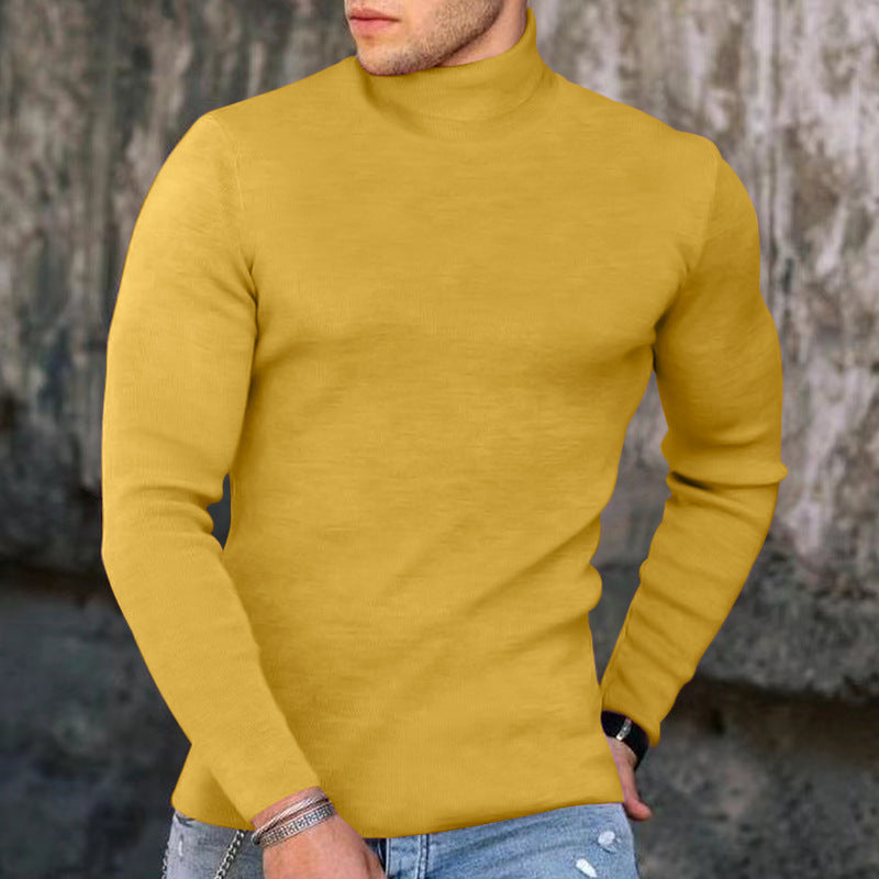 Slim Fit Men's Knit Turtleneck Sweater