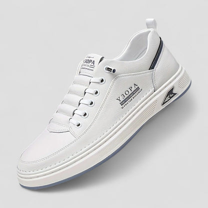 Comfortable Supportive Men's Walking Shoes