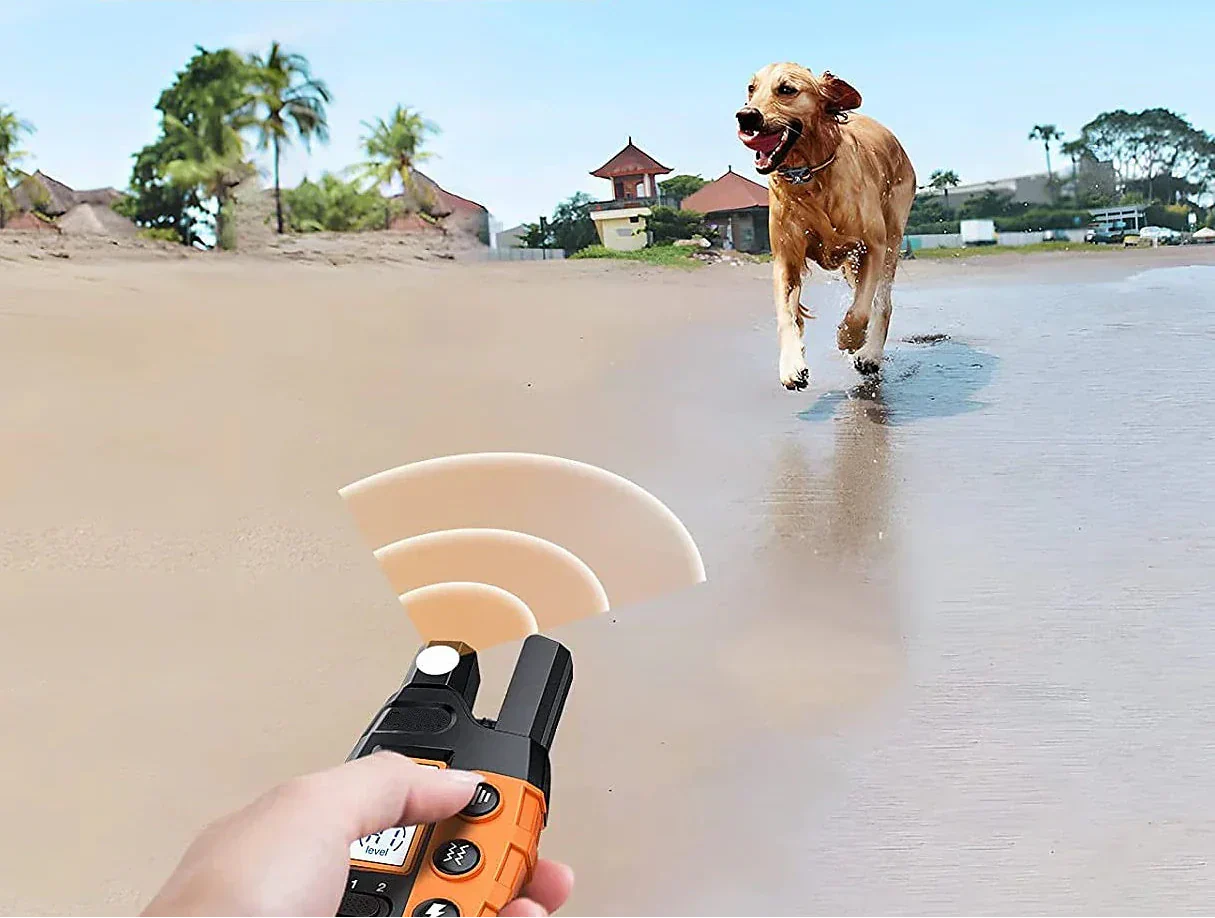 Rechargeable Water Resistant Dog Training Collar