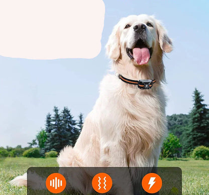 Rechargeable Water Resistant Dog Training Collar
