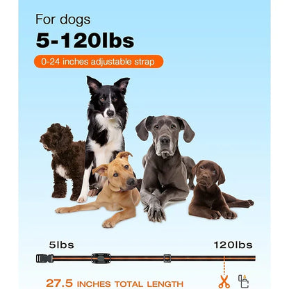Rechargeable Water Resistant Dog Training Collar