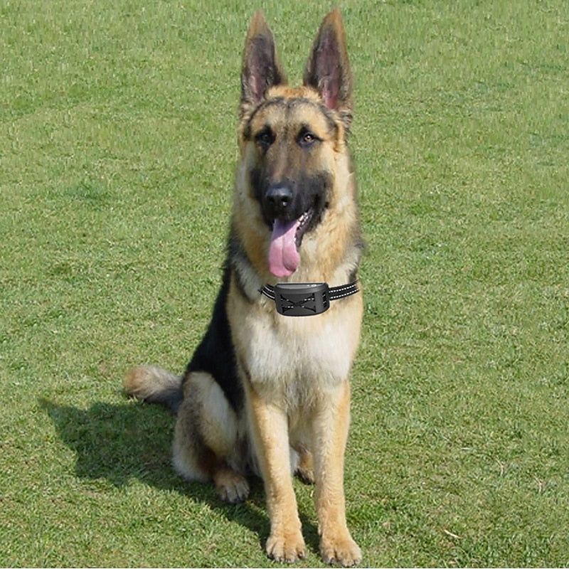 Pet Safe Wireless Dog Containment System Kit