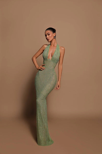 Elegant Ladies Formal Party Dress