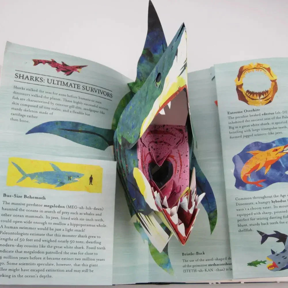 Fun Pop Up Dinosaur Book for Kids Adventure