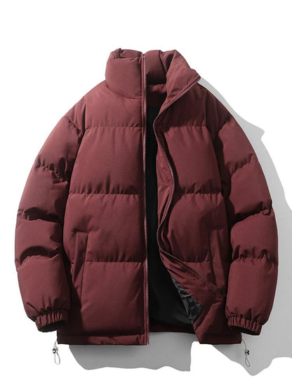 Casual Men's Insulated Puffer Coat
