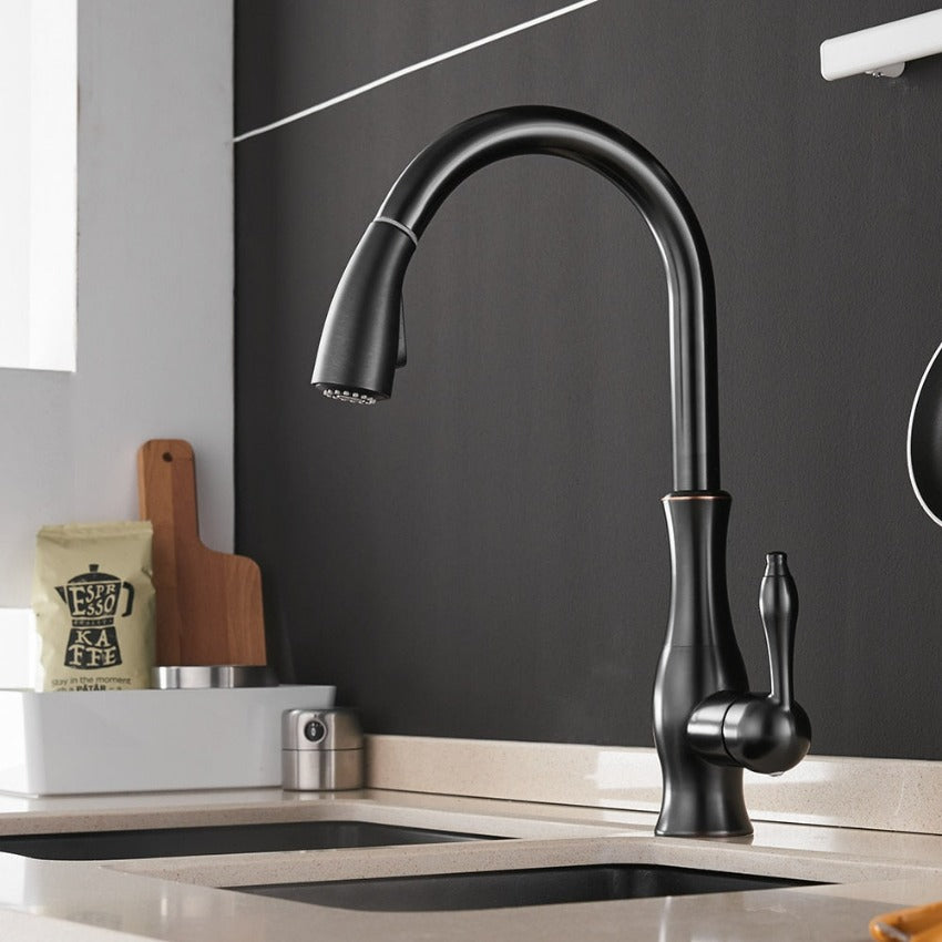 Flexible Kitchen Faucet - Long Reach Spray Head