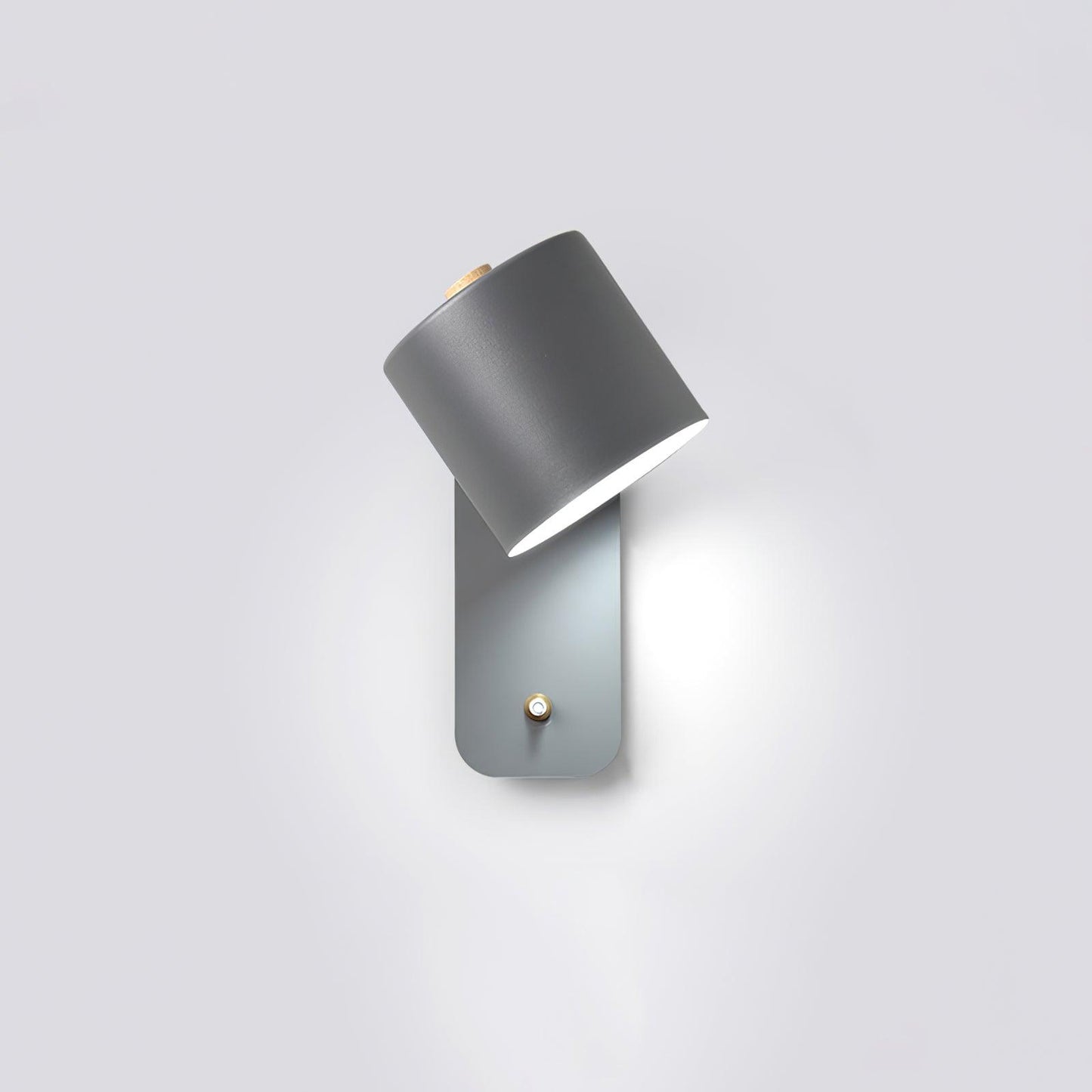 Sleek Adjustable LED Wall Light Fixture
