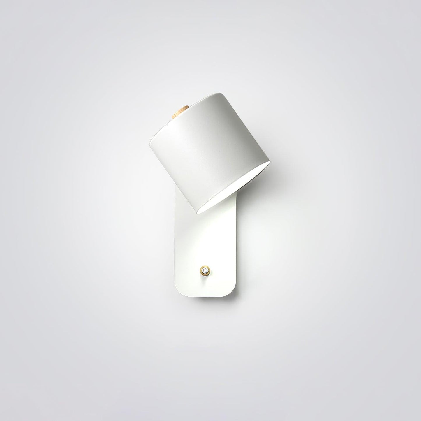 Sleek Adjustable LED Wall Light Fixture