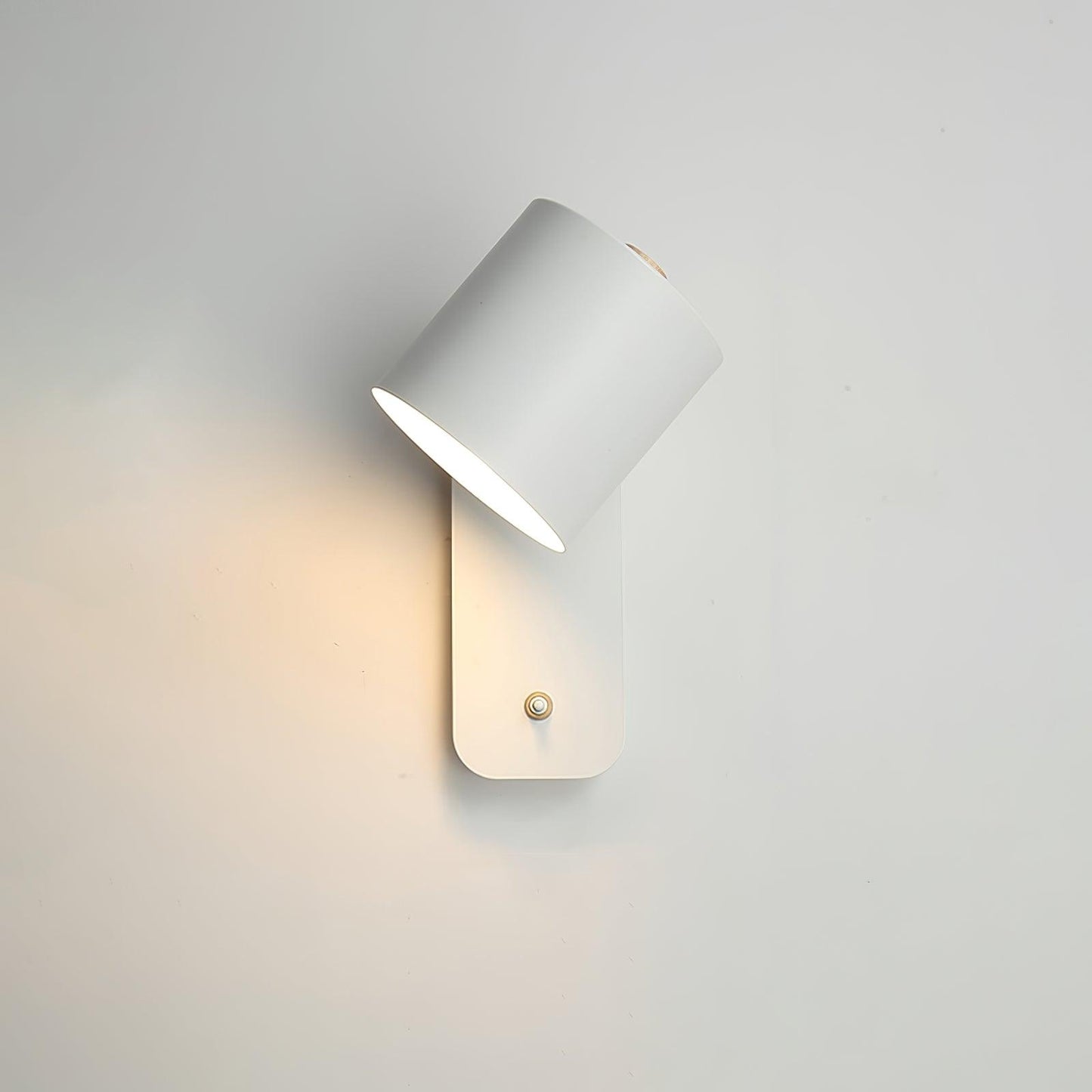 Sleek Adjustable LED Wall Light Fixture