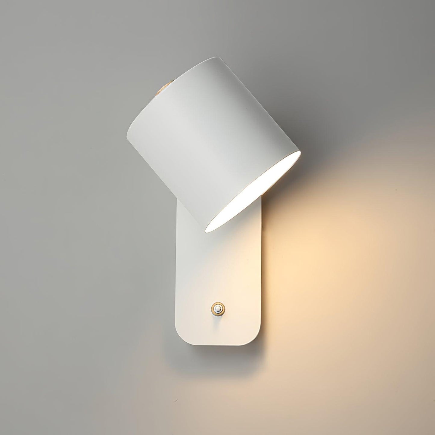 Sleek Adjustable LED Wall Light Fixture