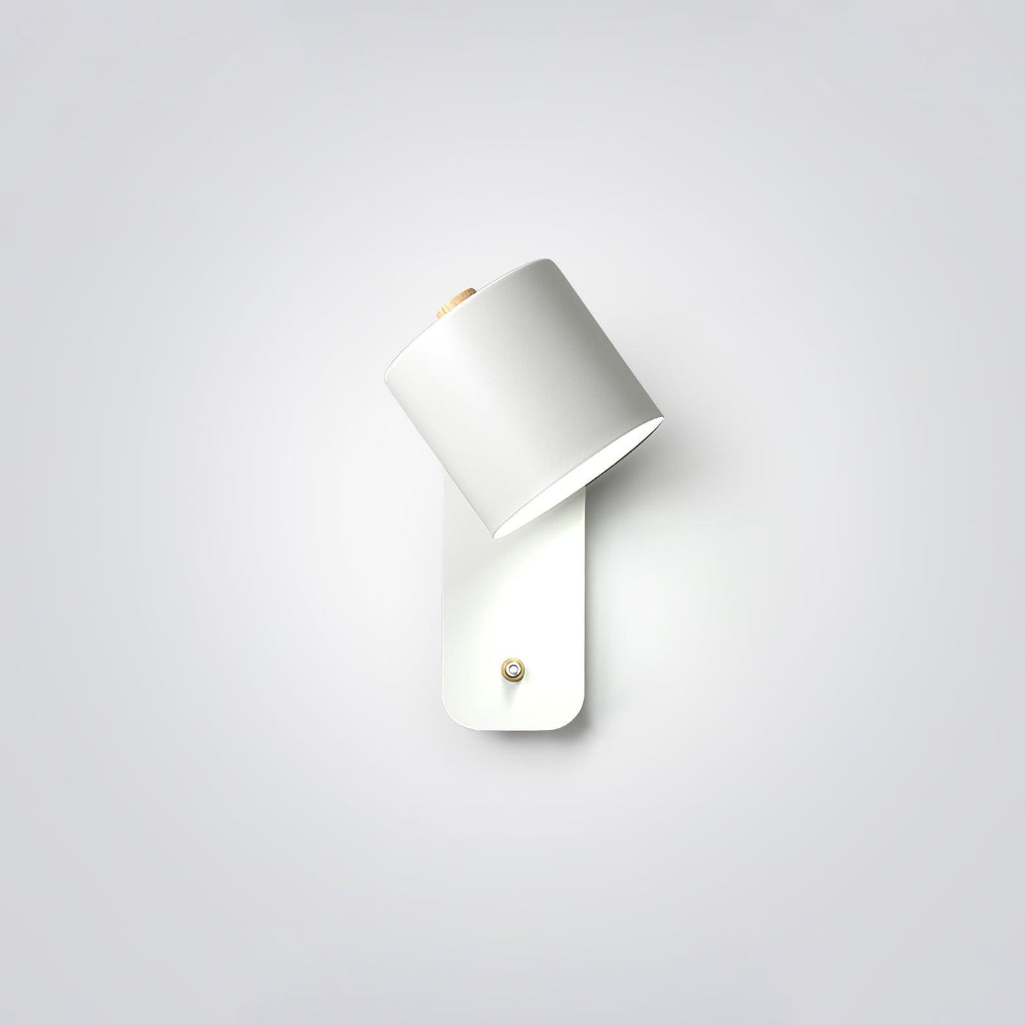 Sleek Adjustable LED Wall Light Fixture