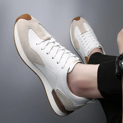 Fashionable Rocco Shoes