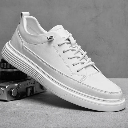 Casual Lace-Up Men's Low Top Shoes